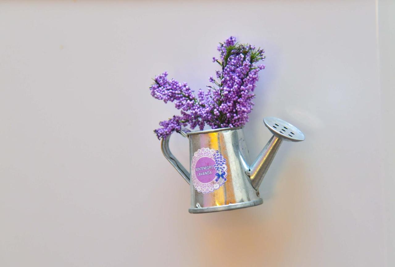 Apartment Golden Lavender Budua Esterno foto